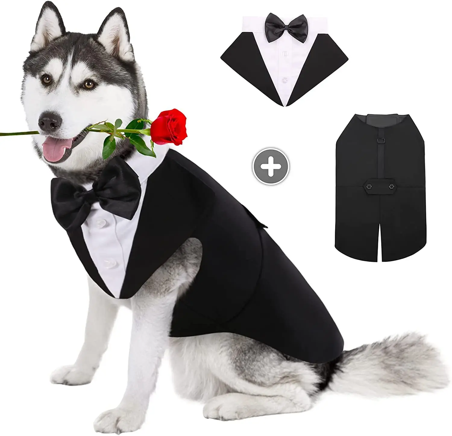 Suit Supply Wedding Party - 반려견 의류 패션 파티 쇼 정장