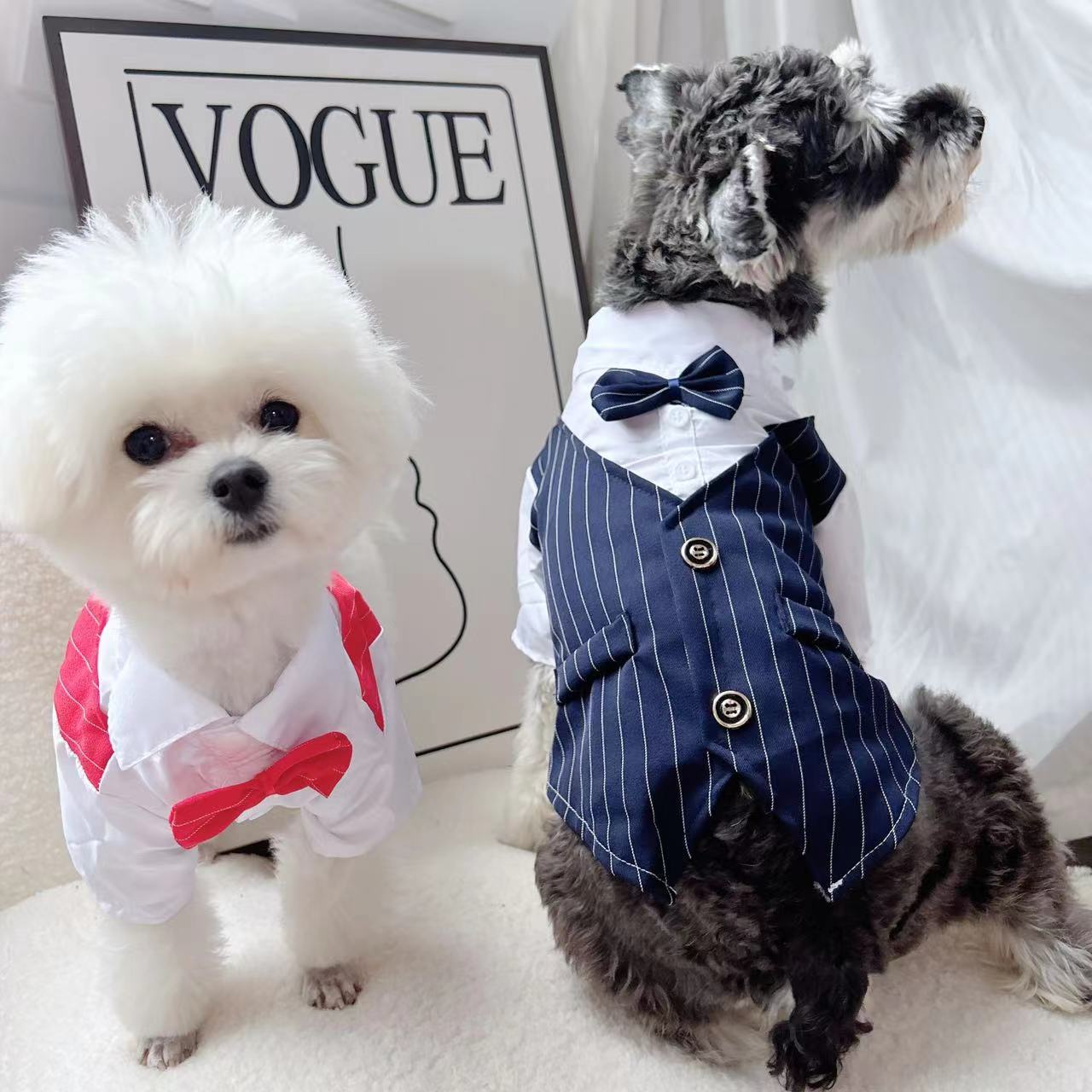 여름용 얇은 정장 웨딩드레스 소형 및 중형견용 웨딩 테 - Suit Supply Wedding Party 리뷰 및 가격