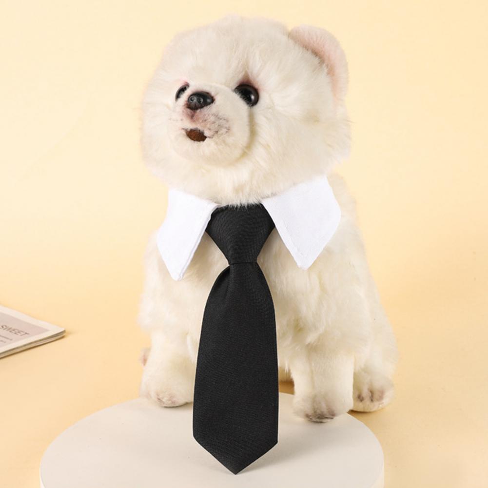 13-27cm 정장 강아지 턱시도 넥타이 조절 가능한  - Suit Supply Wedding Party 리뷰 및 가격