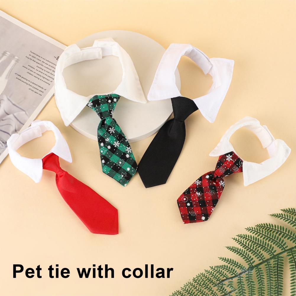 13-27cm 정장 강아지 턱시도 넥타이 조절 가능한  - Suit Supply Wedding Party 리뷰 및 가격