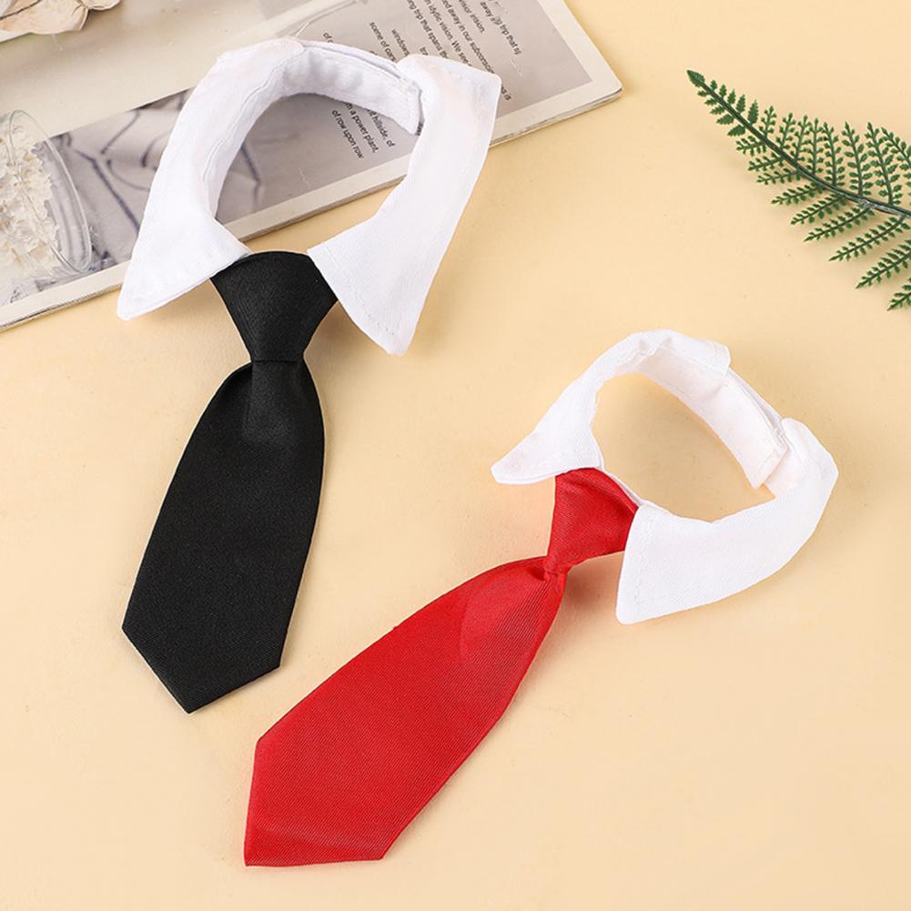 13-27cm 정장 강아지 턱시도 넥타이 조절 가능한  - Suit Supply Wedding Party 리뷰 및 가격